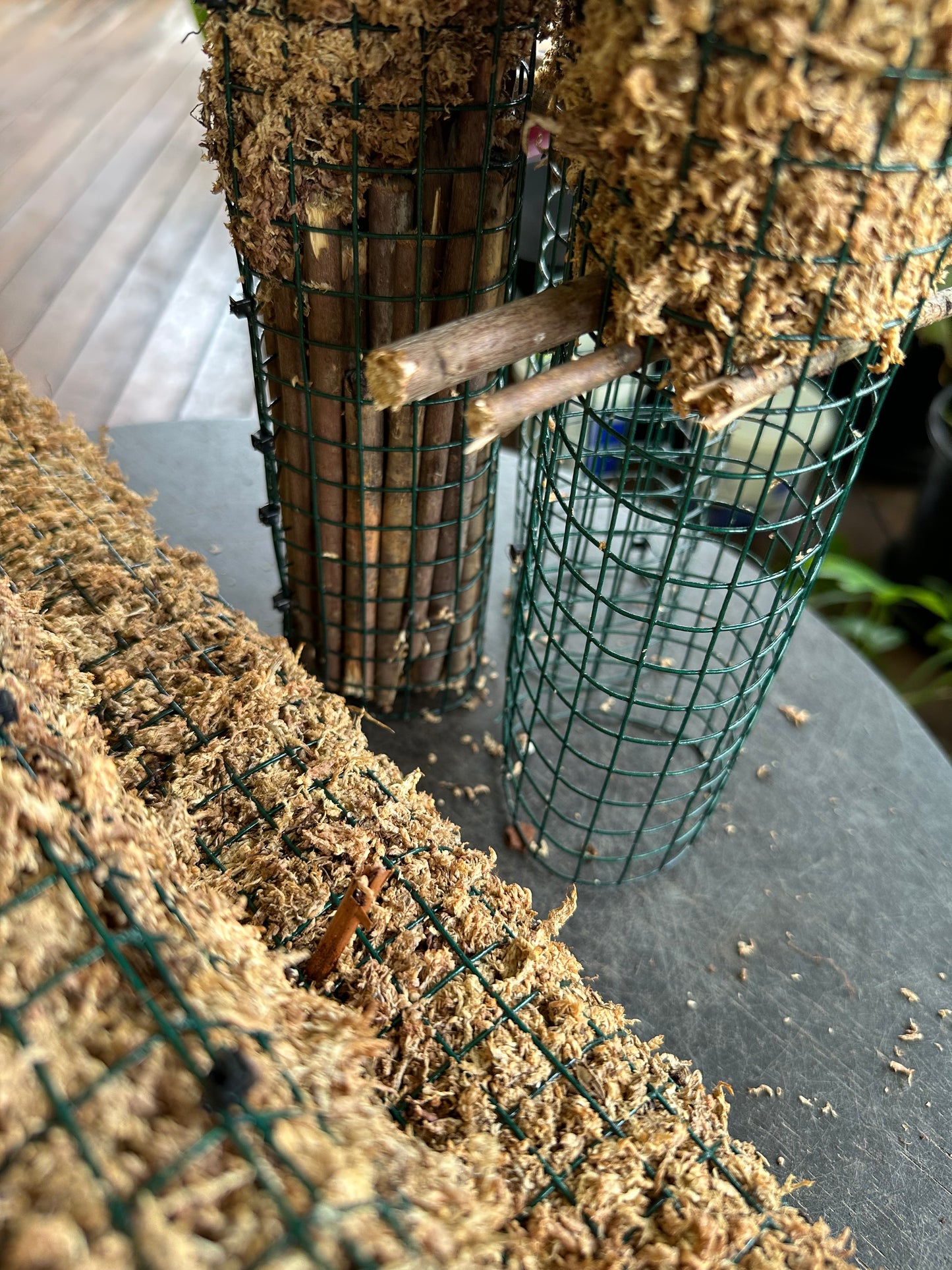 TALL Sphagnum Moss Poles and ExtensionPoles - 92cm