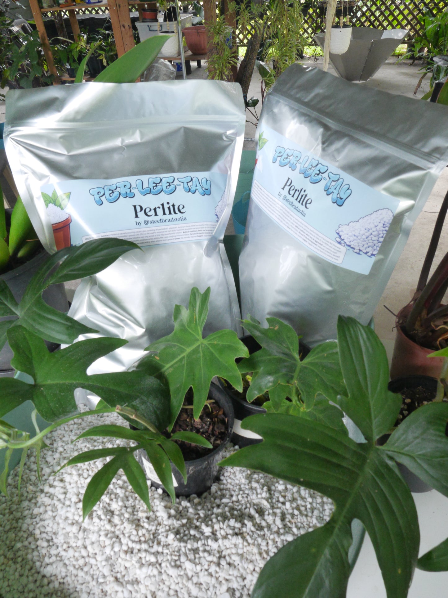 Premium Horticultural Perlite - 8 Litre