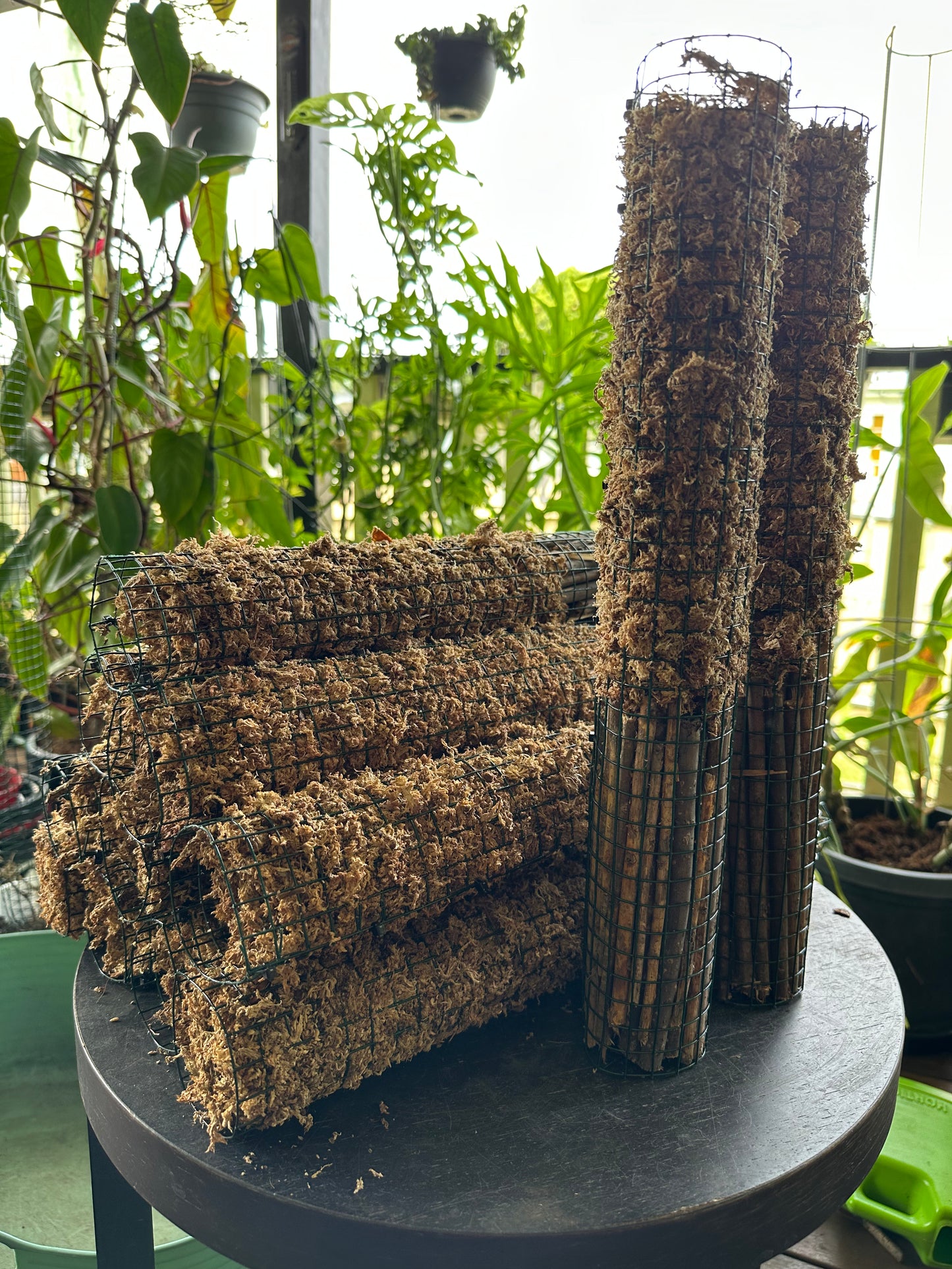 SHORT Sphagnum Moss Poles - 45cm