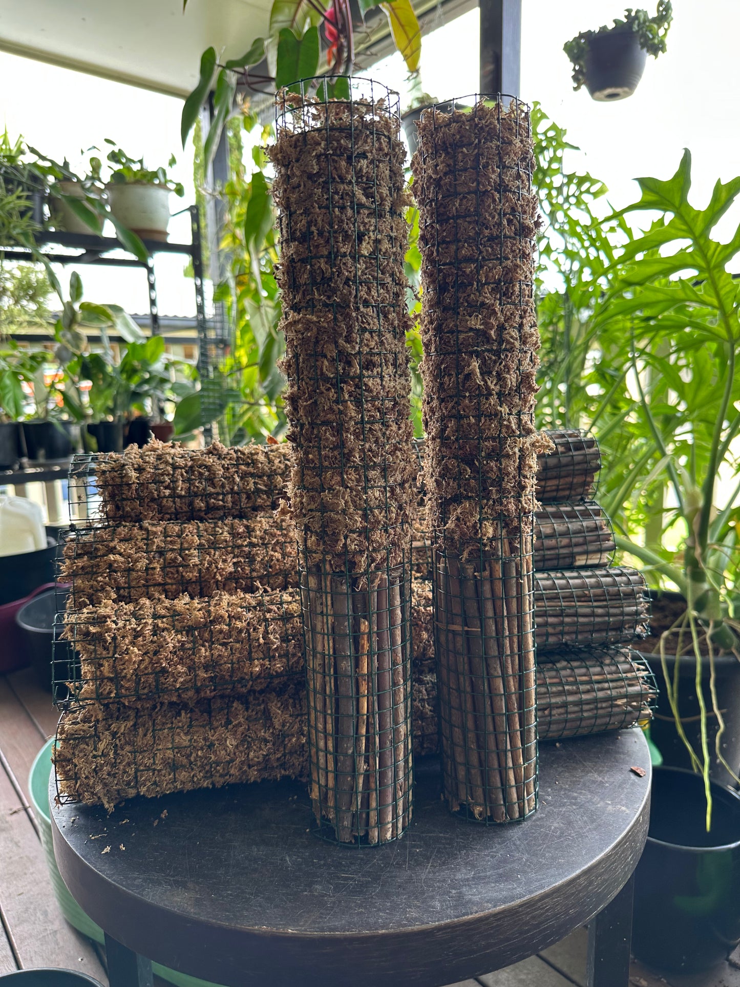 SHORT Sphagnum Moss Poles - 45cm