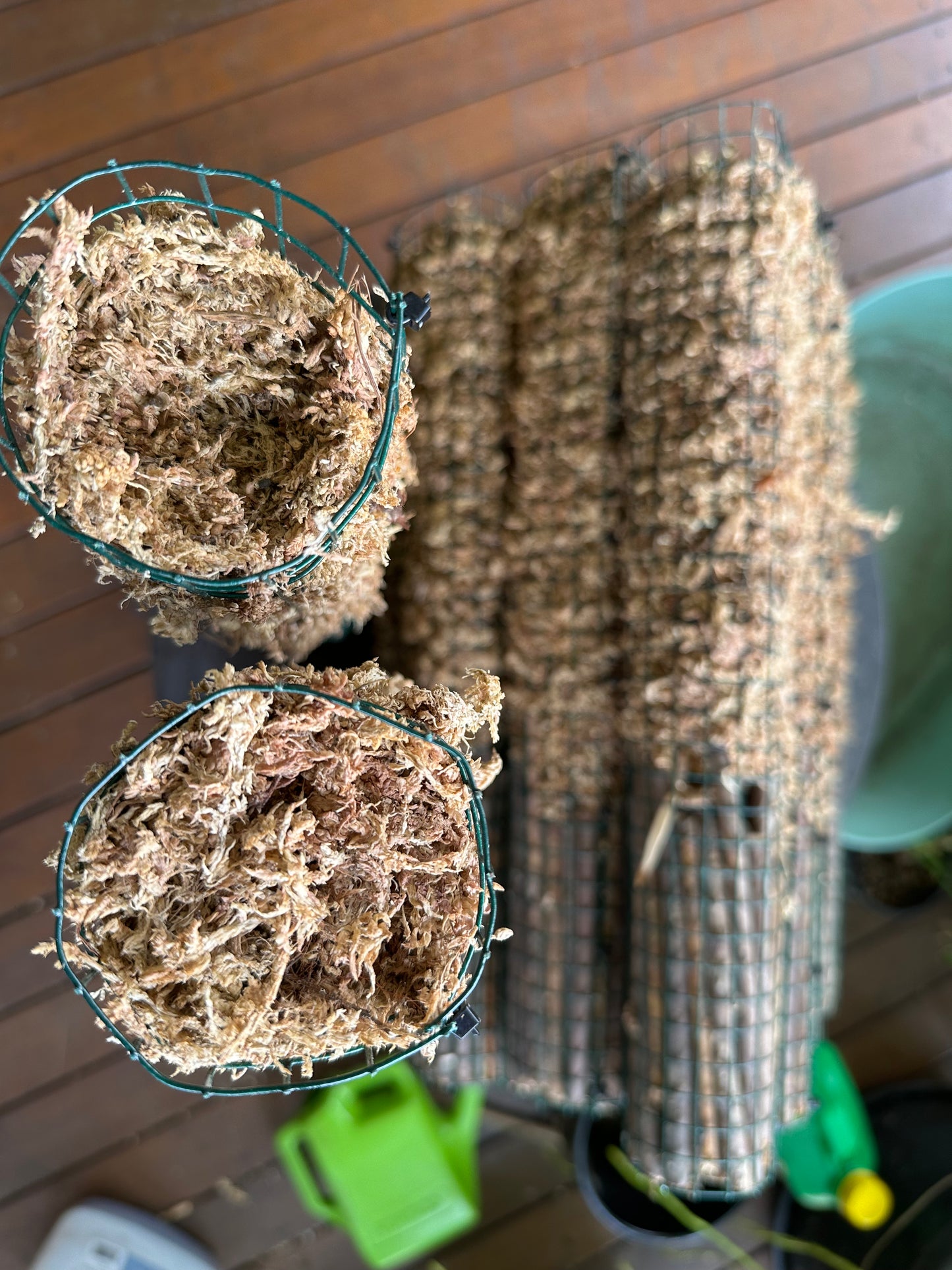 SHORT Sphagnum Moss Poles - 45cm