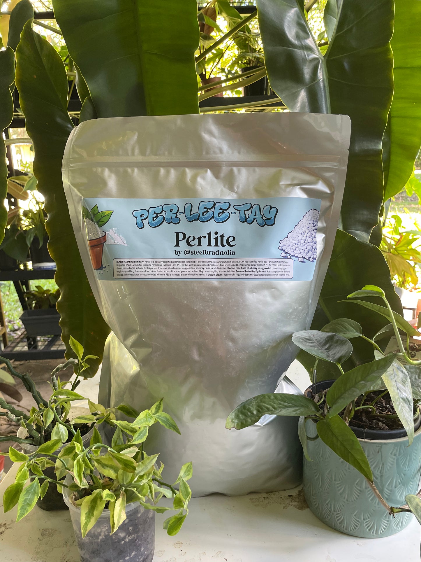 Premium Horticultural Perlite - 8 Litre